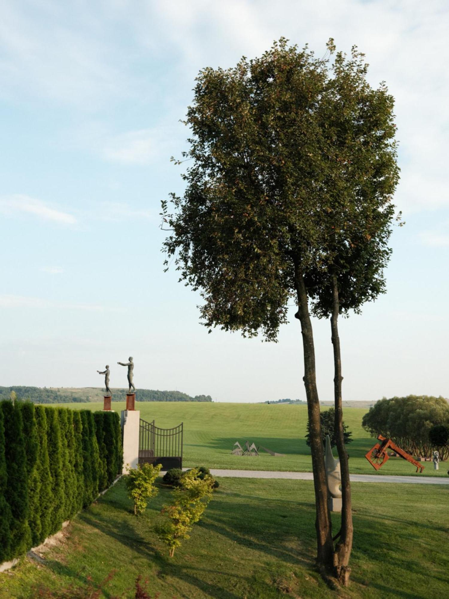 Edem Resort Medical & Spa Strelki  Bagian luar foto